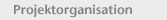 Projektorganisation